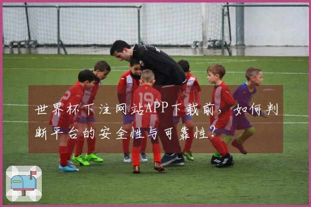 世界杯下注网站APP下载前，如何判断平台的安全性与可靠性？