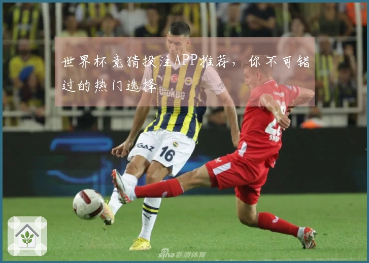 世界杯竞猜投注APP推荐，你不可错过的热门选择