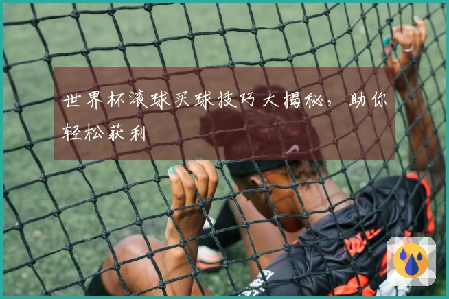 世界杯滚球买球技巧大揭秘，助你轻松获利