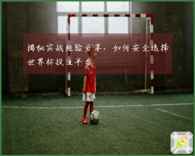 揭秘实战经验分享，如何安全选择世界杯投注平台