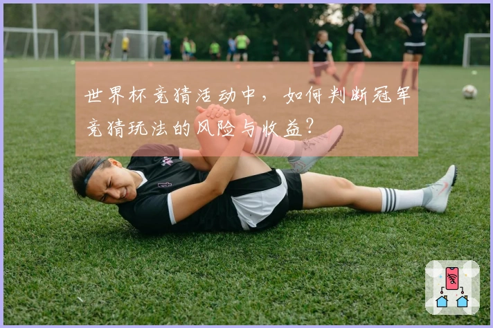 世界杯竞猜活动中，如何判断冠军竞猜玩法的风险与收益？