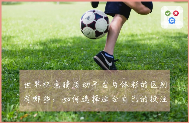 世界杯竞猜活动平台与体彩的区别有哪些，如何选择适合自己的投注方式