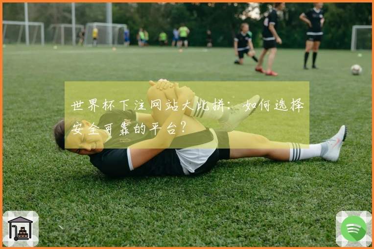 世界杯下注网站大比拼：如何选择安全可靠的平台？
